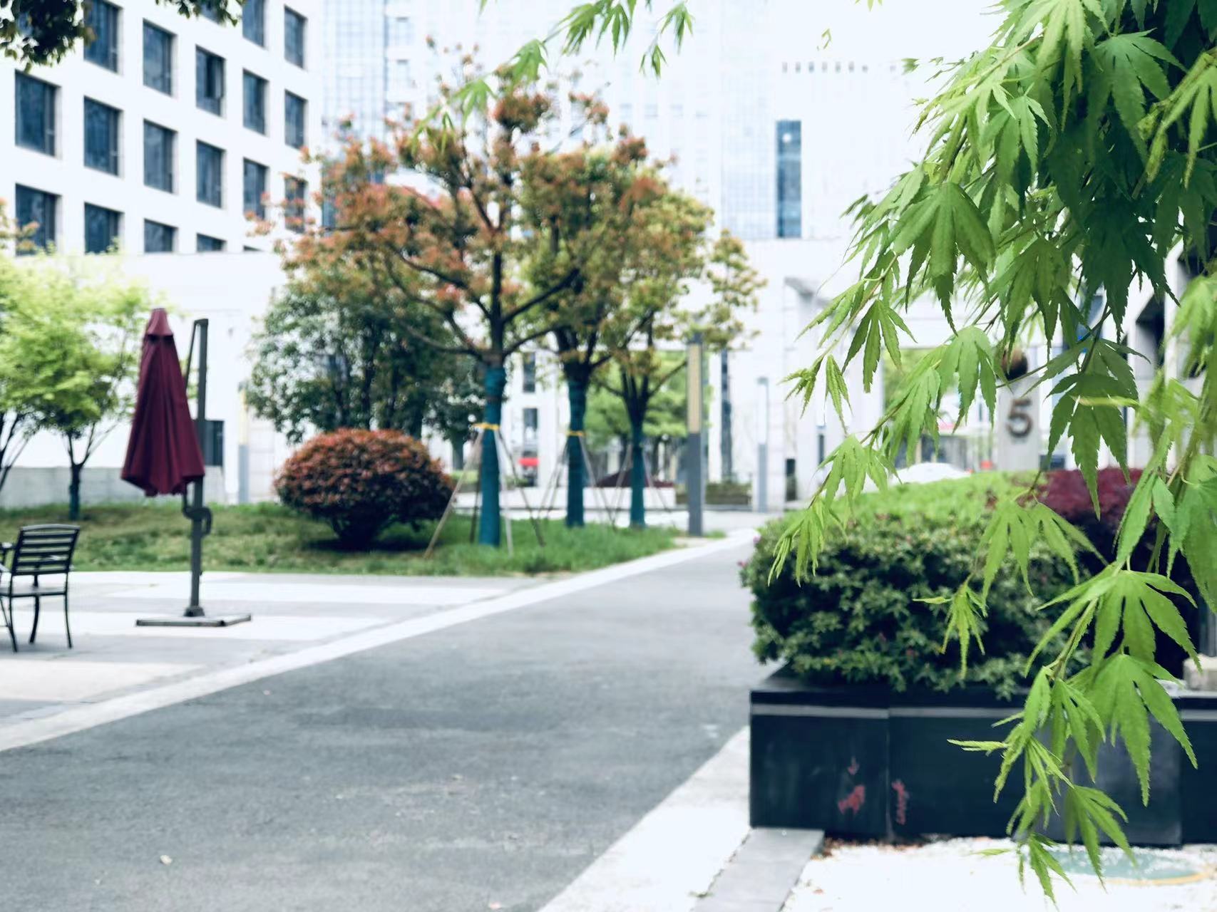 迪塔維搬遷——致初心，新起航！